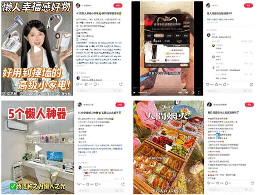 Rednote E-commerce