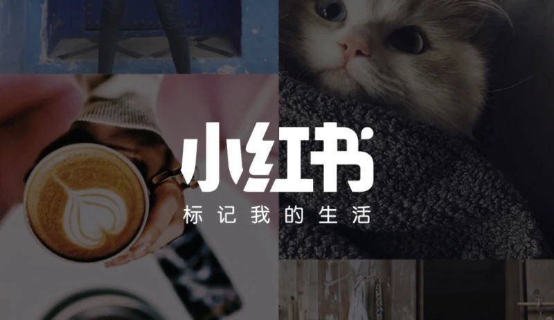 What kind of brand is suitable for Xiaohongshu