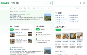 Naver search results page with Smart Block sections for blogs, cafes and shopping
